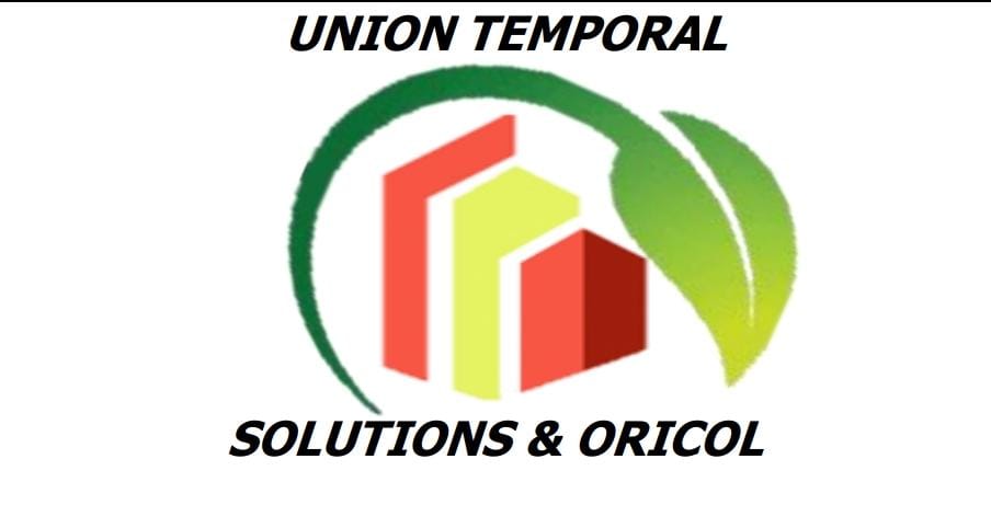 UNION TEMPORAL SOLUTIONS & ORICOL