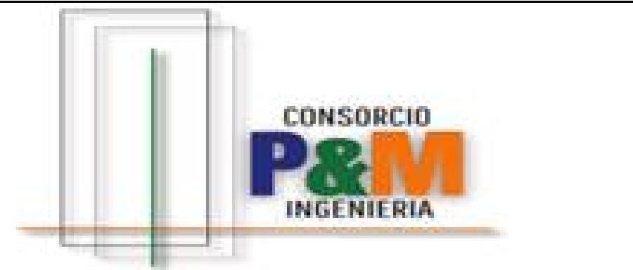 CONSORCIO P&M INGENIERIA